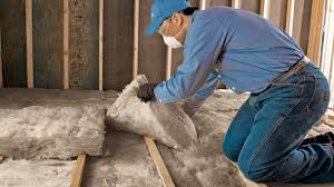 Best Crawl Space Insulation  in Walkertown, NC