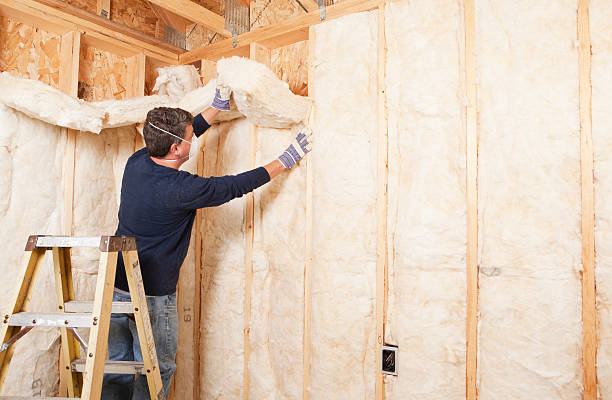 Best Eco-Friendly Insulation Solutions  in Walkertown, NC